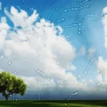 Eye floaters and flashes treatment in Bahawalpur