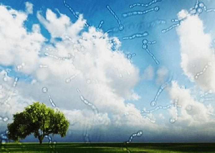 Eye floaters and flashes treatment in Bahawalpur